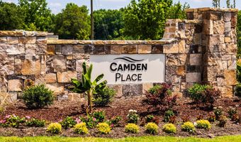 290 Blue Butterfly Dr, Angier, NC 27501
