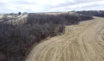 20 Ac. Valley Rd, Argyle, WI 53504