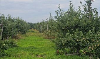 3120 Densmore Rd, Albion, NY 14411