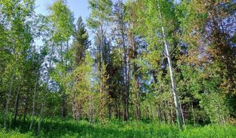 1355 S Timberline Rd, Ashton, ID 83420