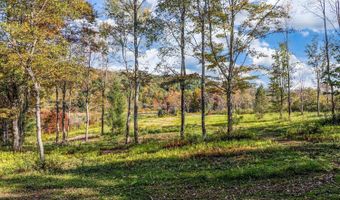 0 Woodland Hills Rd, Andes, NY 13731