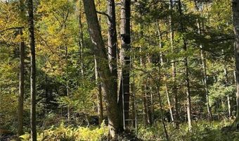 360 Ives Hill Rd, Afton, NY 13730
