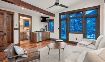 1345 Mayflower Ct, Aspen, CO 81611