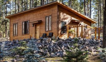 24 County Rd 2267, Alpine, AZ 85920