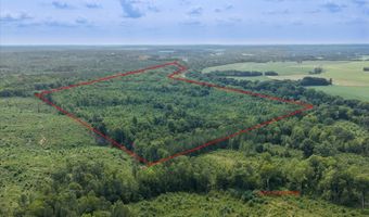 98 63 AC Pointer Rd, Alton, VA 24520