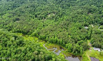 Steve Brown Road, Bean Station, TN 37708