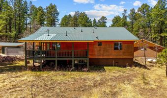 61 Co Rd 2266, Alpine, AZ 85920