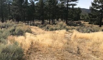1 Butterfly Peak Rd, Mountain Center, CA 92561
