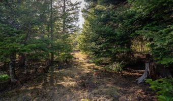 940 Sled Run Trl, Clark Fork, ID 83811