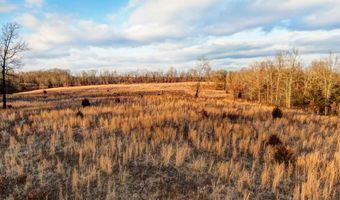 208 Cabin Rd, Ava, MO 65608