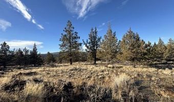 Canvasback Drive, Bonanza, OR 97623