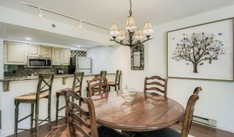 1120 Village Rd 204, Beaver Creek, CO 81620