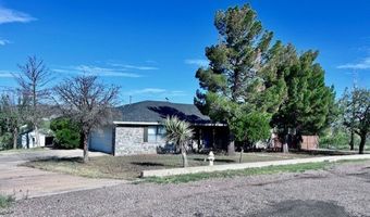 1016 Logan, Alpine, TX 79830