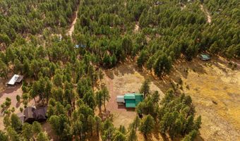 7 A County Road N2312, Alpine, AZ 85920