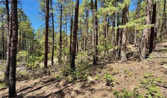 249 Timber Dr, Bayfield, CO 81122