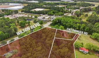 1020 Entziminger Rd, Blythewood, SC 29016