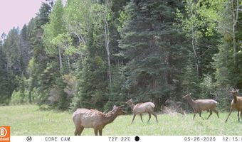 15098 CR 240, Bayfield, CO 81122