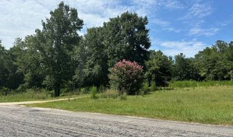 177 155 Pebble Cove Rd, Abbeville, AL 36310