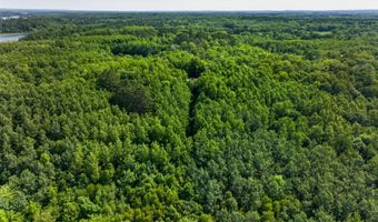 21169 Firefly Trl, Akeley, MN 56433