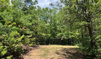 501 Clifftop Trl 26, Andrews, NC 28901