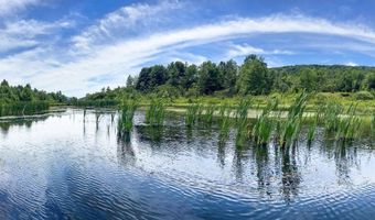 0 Woodland Hills Rd, Andes, NY 13731
