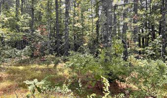 NH Route 3, Bridgewater, NH 03222