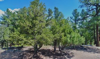 22750 County Rd 46, Aguilar, CO 81020