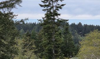 96420 ALDER RIDGE Rd, Brookings, OR 97415