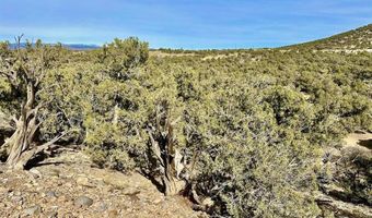 CR 2550 Road, Aztec, NM 87410