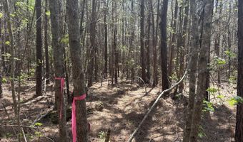 SW Auburn Drive, Bogue Chitto, MS 39629