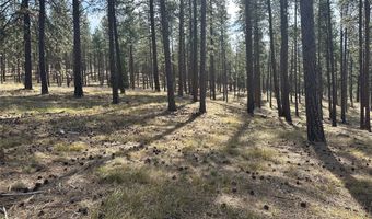 31760 HWY 10 W, Alberton, MT 59820