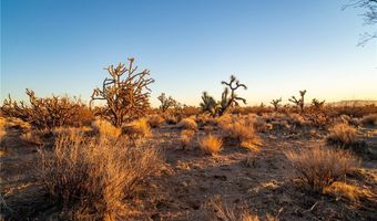 2641 S Javelina Rd, Yucca, AZ 86438