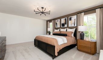269 Williams Grove Ln, Apex, NC 27523