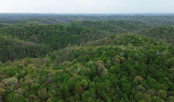 694 A Tunnel Ridge Rd, Argillite, KY 41121