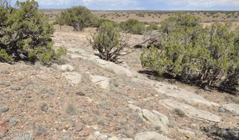 19 C & D County Rd N9033, Concho, AZ 85924