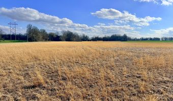 0001 CR-290, Asbury, MO 64832