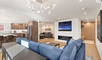 447 E Cooper Ave 1, Aspen, CO 81611