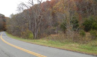 Spoon Gap Rd, Abingdon, VA 24211
