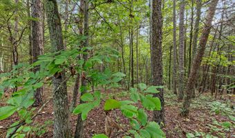 12706 Cranfield Rd, Birchwood, TN 37308