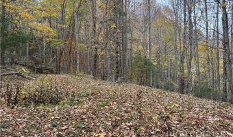 Rominger Road, Banner Elk, NC 28604