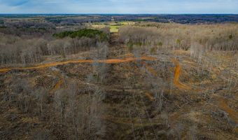 0 County Road 217 Lot 2, Blue Springs, MS 38828