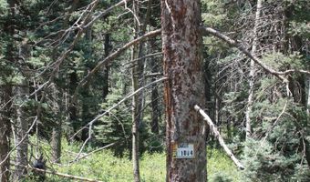 El Camino Real, Angel Fire, NM 87710