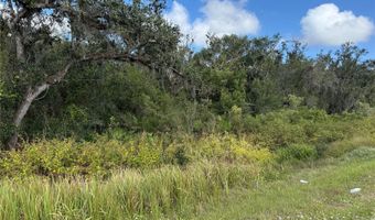 SW HWY 17, Arcadia, FL 34266