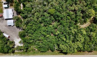 SW Gator Trl, Arcadia, FL 34266
