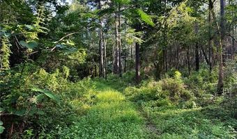 Parcel 3 WARD LINE Road lot Par 3, Bogalusa, LA 70427