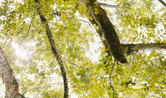 2778 SW Big Creek Dr, Bogue Chitto, MS 39629