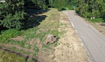 136 Bobcat Pl 4, Ariel, WA 98603