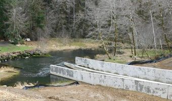 9857 BEACH Dr, Birkenfeld, OR 97016