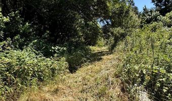 Silver Creek RD 2, Gold Beach, OR 97444
