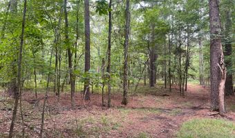 0 Dove Ct, Lincolnton, GA 30817
